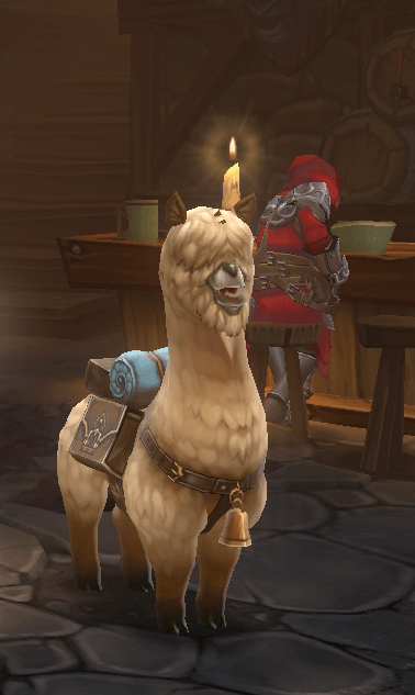 Pet alpaca